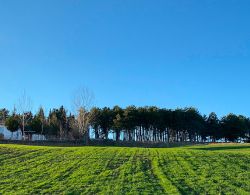 Villages of Asia Minor: Timeless Paths Through Land and Legend